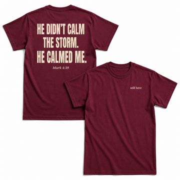 He Didn't Calm The Storm He Calmed Me Christian Unisex T-shirt